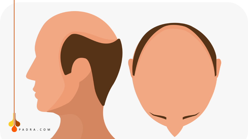 المرحلة السابعة