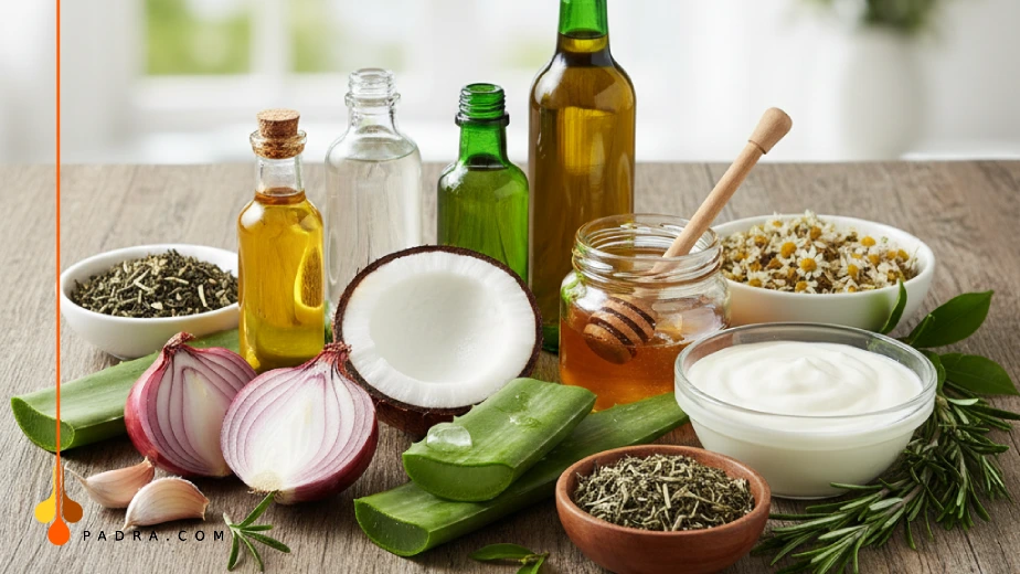 أعشاب لمنع تساقط الشعر من الجذور